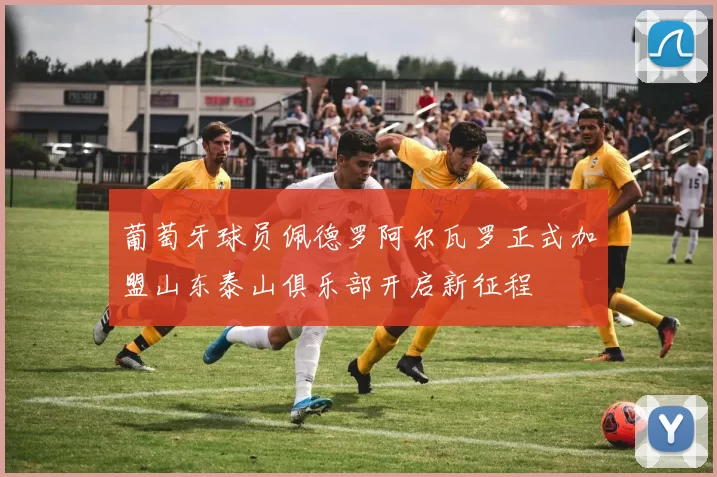 葡萄牙球员佩德罗阿尔瓦罗正式加盟山东泰山俱乐部开启新征程
