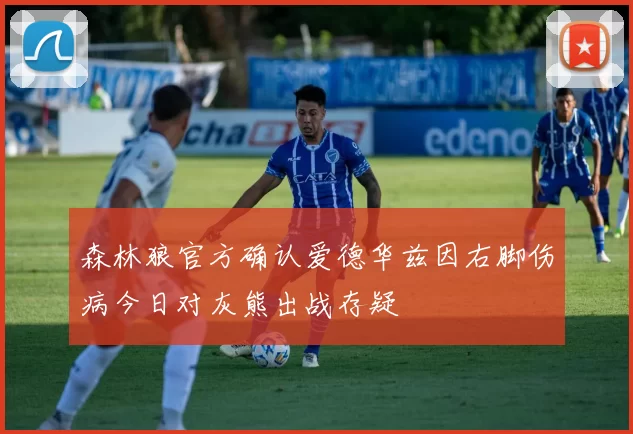 森林狼官方确认爱德华兹因右脚伤病今日对灰熊出战存疑